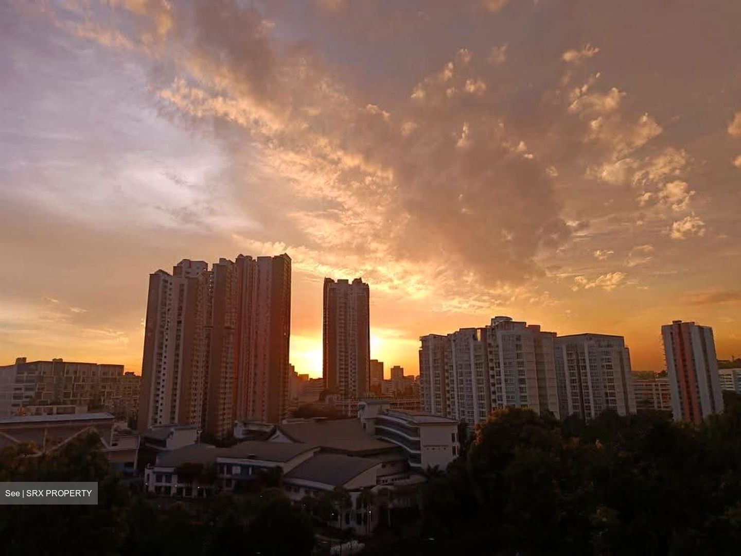 Blk 288F Bukit Batok Street 25 (Bukit Batok), HDB Executive #620175471